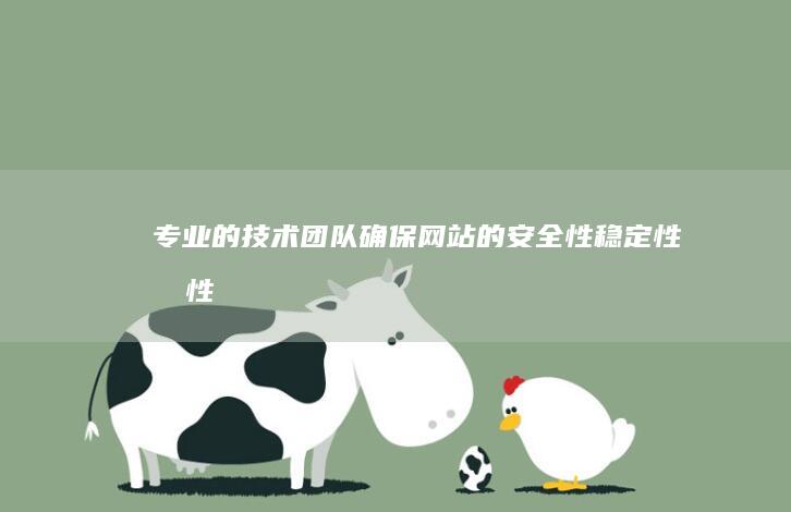 专业的技术团队：确保网站的安全性、稳定性和性能。