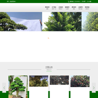 罗汉松盆景造型__海南沉香木发财树价格图片-深圳市天玄科技有限公司