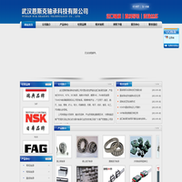 武汉恩斯克轴承科技有限公司