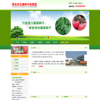 寿光市玉海种子经营部-番茄苗种植基地,辣椒苗供应商,茄子苗基地
