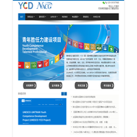 青年胜任力建设项目YCD