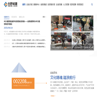 合肥城建发展股份有限公司