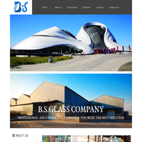 B.S.Glass company